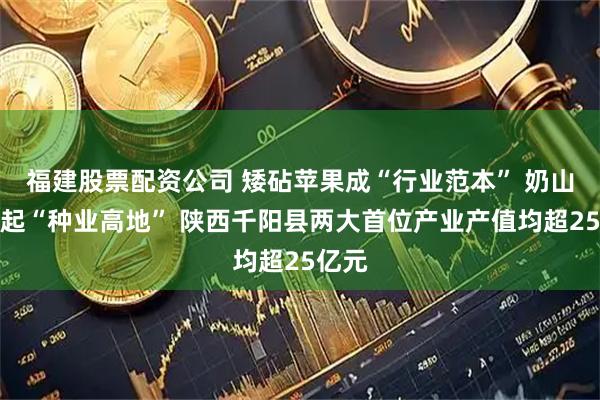 福建股票配资公司 矮砧苹果成“行业范本” 奶山羊筑起“种业高地” 陕西千阳县两大首位产业产值均超25亿元