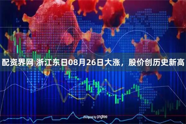配资界网 浙江东日08月26日大涨，股价创历史新高