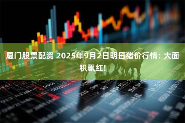 厦门股票配资 2025年9月2日明日猪价行情: 大面积飘红!