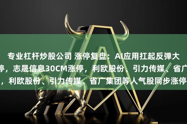 专业杠杆炒股公司 涨停复盘：AI应用扛起反弹大旗！蓝色光标20CM涨停，志晟信息30CM涨停，利欧股份、引力传媒、省广集团等人气股同步涨停